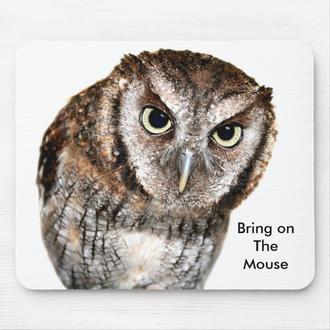 Wise Owl waiting for Mouse fun Mouse Pad (Front)