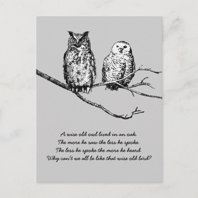 Wise Owl Wisdom Postcard (Front)