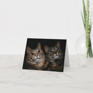 Wise Sisters Card