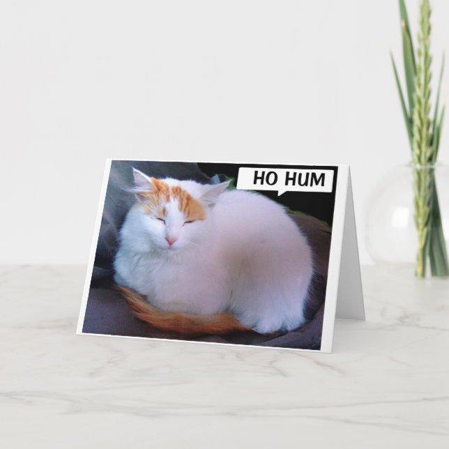 WISH I COULD SAY THIS IN PERSON Happy Birthday Holiday Card (Front)