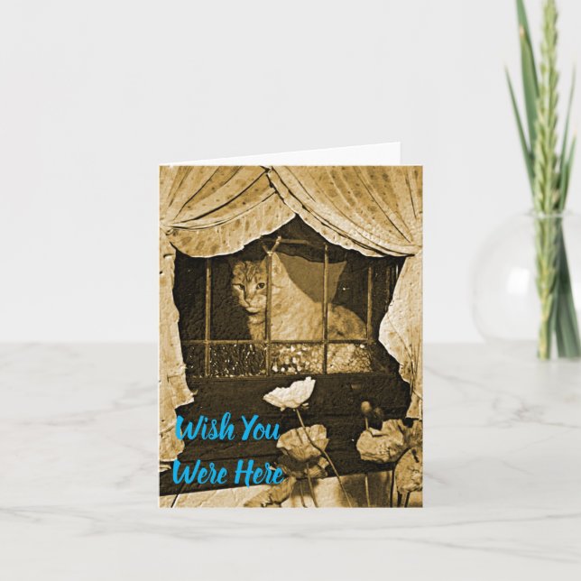 Wish You Were Here~Cat in Window Card (Front)