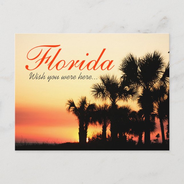 Wish you were here - Florida palm tree sunset Postcard (Front)