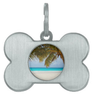 Wish you were here! pet ID tag