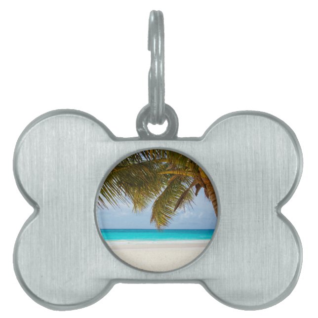 Wish you were here! pet ID tag (Front)