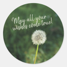 Wishes Come True Dandelion 