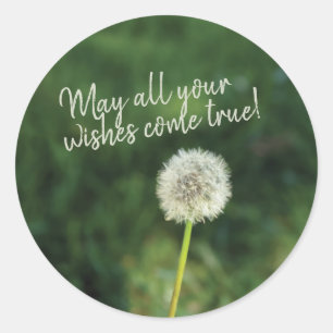 Wishes Come True Dandelion  Classic Round Sticker