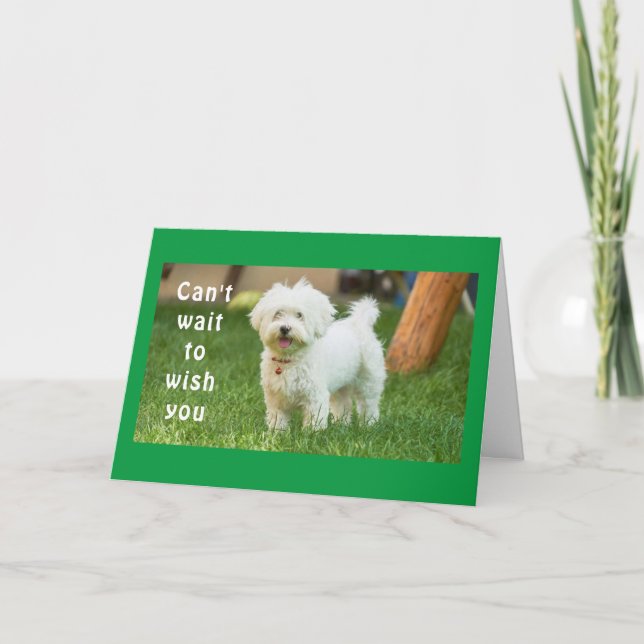 **WISHES FOR THE BEST BIRTHDAY EVER** CARD (Front)