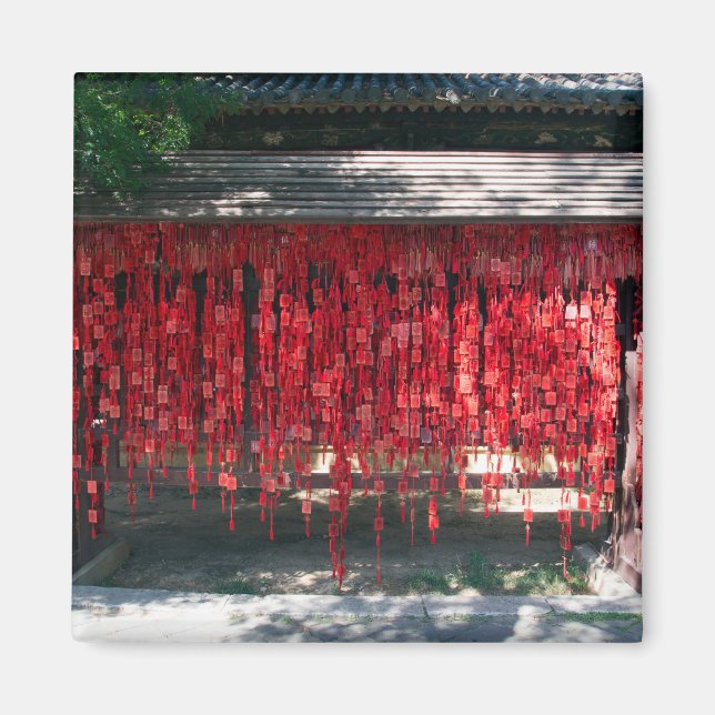 Wishes in a confucius temple - Yunnan, China Magnet (Front)