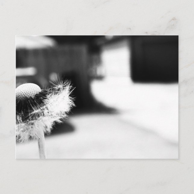 Wishing 2 postcard (Front)