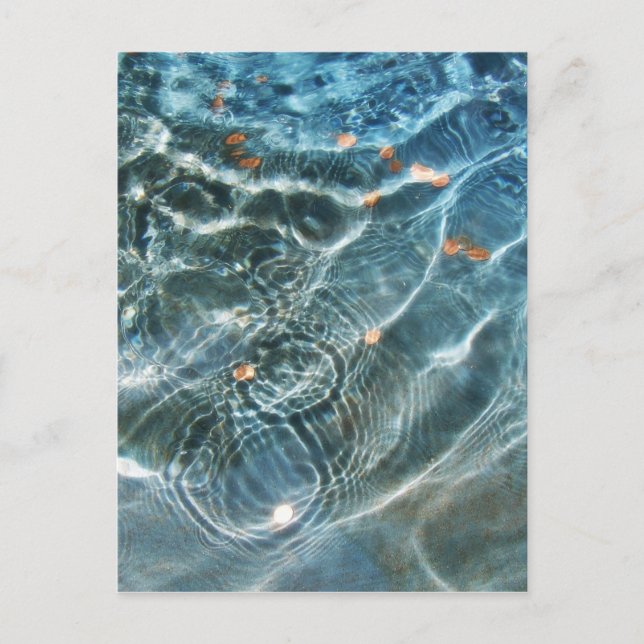 Wishing Fountain Postcard (Front)