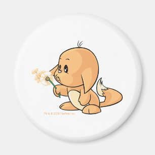 Wishing orange Kacheek Magnet
