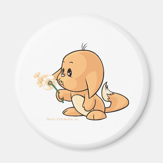 Wishing orange Kacheek Magnet (Front)