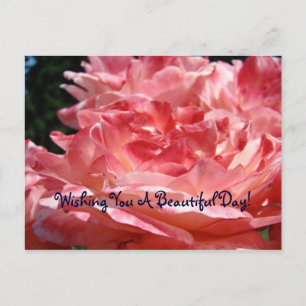 Wishing You a Beautiful Day! postcard Pink Roses