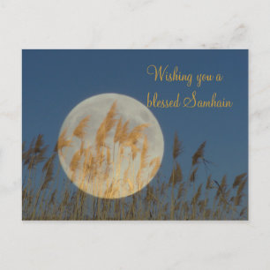 Wishing you a blessed Samhain Postcard