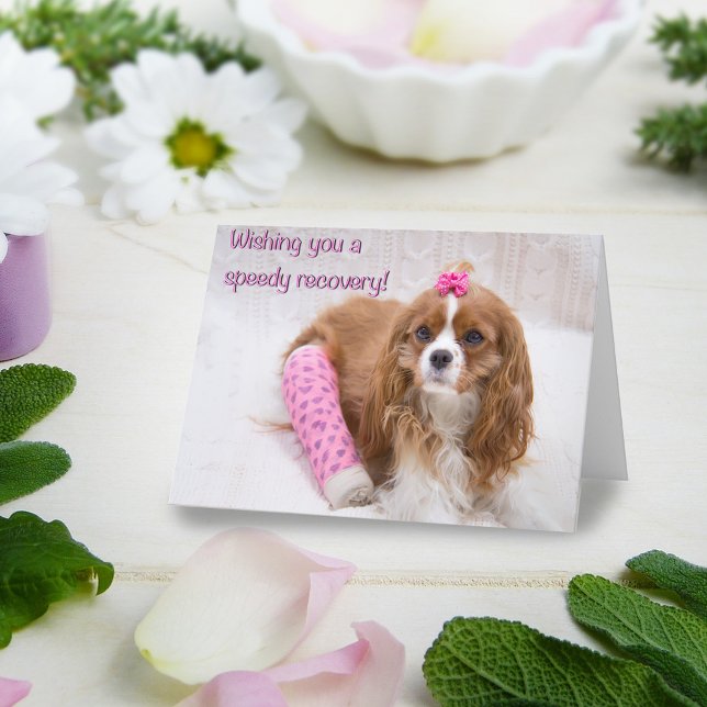 Wishing You A Speedy Recovery Spaniel Card (Creator Uploaded)