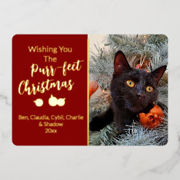 Wishing You the Purr-fect Christmas Cat Photo