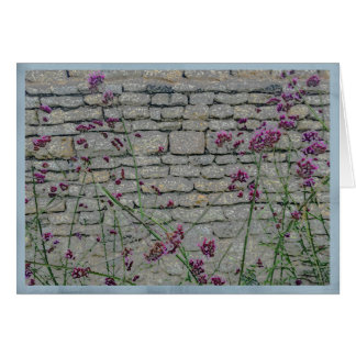 Wispy purple flowers on a rustic brick wall