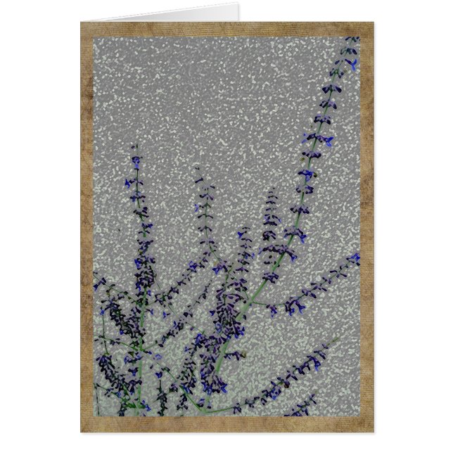 Wispy purple flowers on grey background (Front)