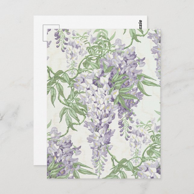 Wisteria Blossom Light Blue and Lavender Patterns Postcard (Front/Back)