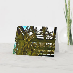 Wisteria, card