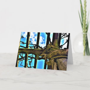 Wisteria, card