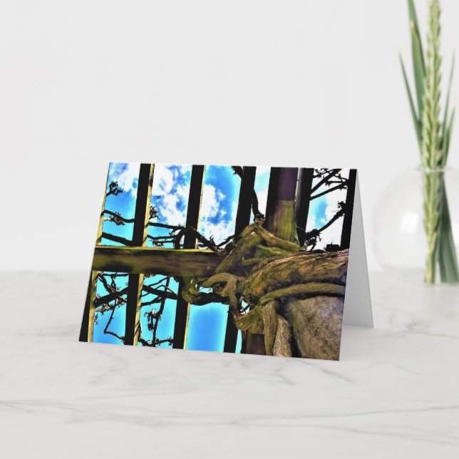 Wisteria, card (Front)