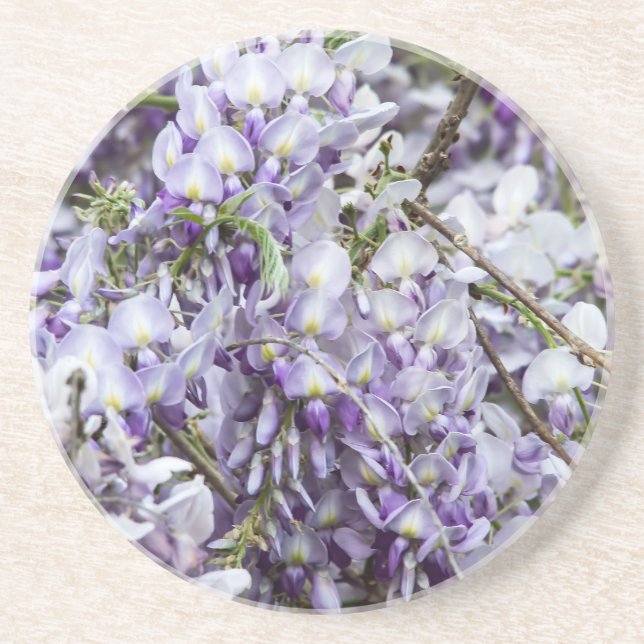 Wisteria Coaster (Front)
