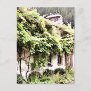 WISTERIA COTTAGE POSTCARD