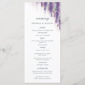 Wisteria dreams programme