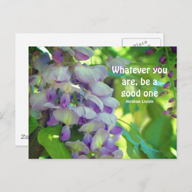 Wisteria Flower Attitude Quote  Postcard (Front/Back)