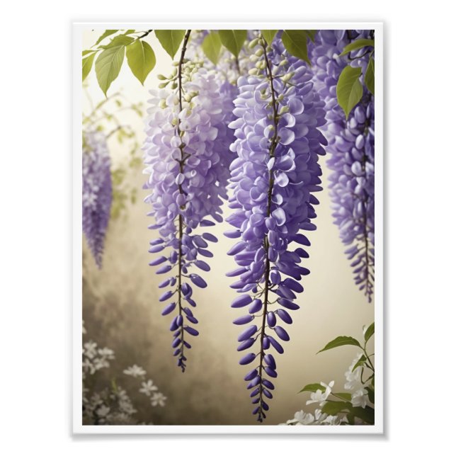 Wisteria flower Poster Wall Art Wall Decor (Front)