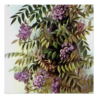Wisteria Frutescens Botanical Art Painting