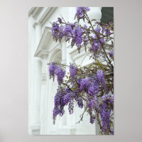 Wisteria, Historic House Charleston South Carolina