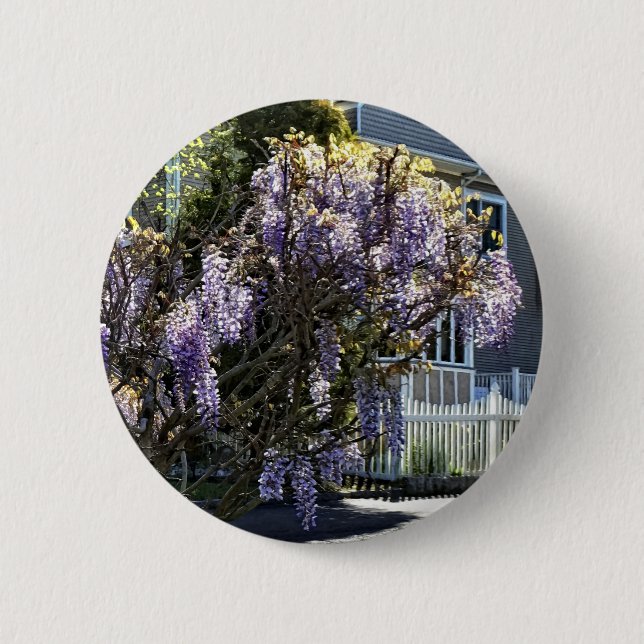 Wisteria in Bloom 6 Cm Round Badge (Front)