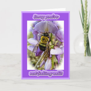 Wisteria & Male Carpenter Bee Get Well Card