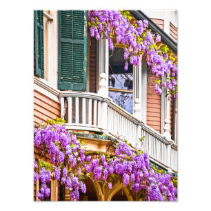 Wisteria on a Vintage Southern  Home in Savannah Photo Print
