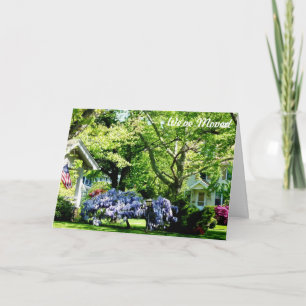 Wisteria on Lawn Announcement