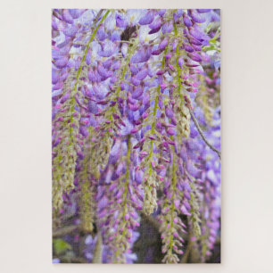 Wisteria Purple Floral Blossom Tree Violet Jigsaw Puzzle