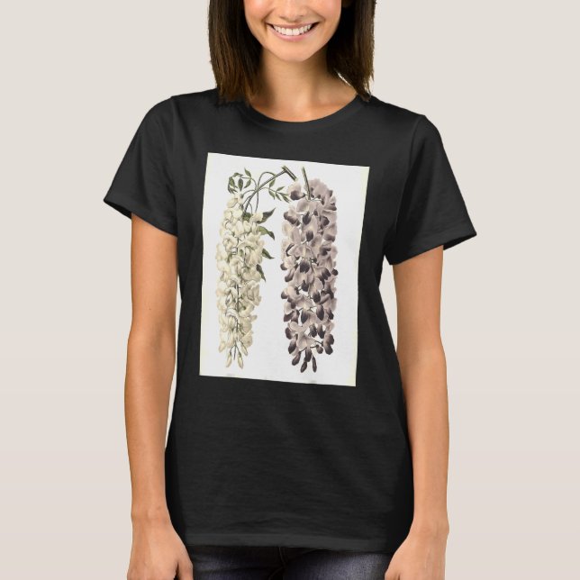 Wisteria Sinensis Botanical Isolated On White T-Shirt (Front)