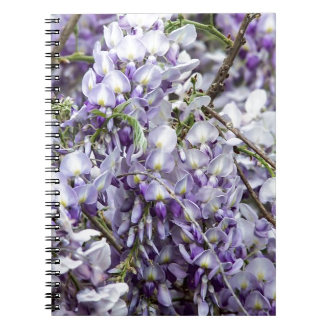 Wisteria Spiral Notebook (Front)