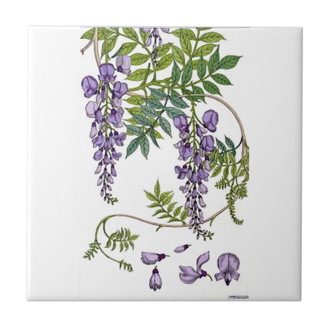 Wisteria Tile (Front)