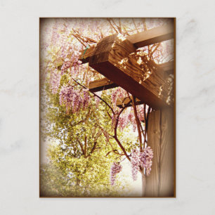 Wisteria Urbane Postcard