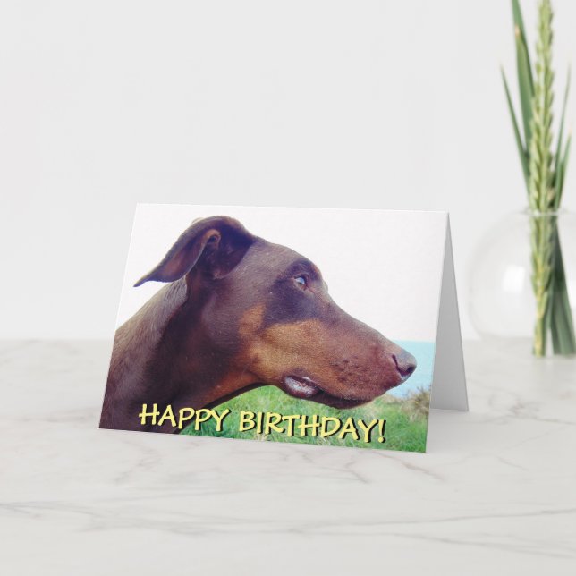 Wistful red doberman birthday card (Front)