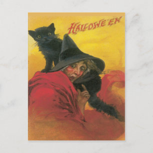 Witch And Black Cat Vintage Postcard