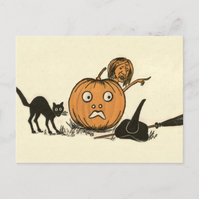 Witch Black Cat Jack O Lantern Postcard (Front)