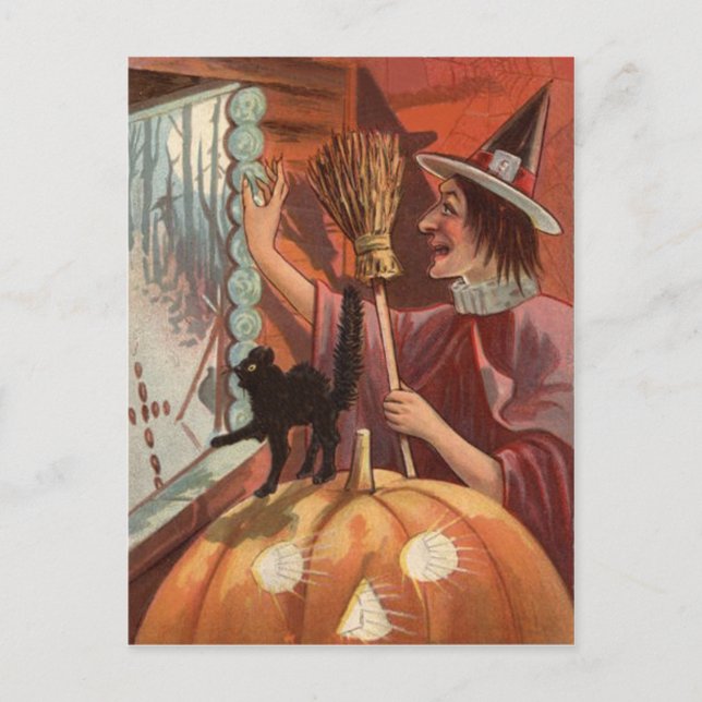Witch Black Cat Jack O Lantern Pumpkin Postcard (Front)