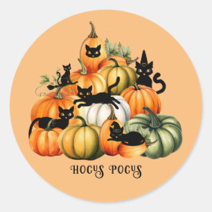 Witch Cat Jack O Lantern Halloween Magic Gifts Classic Round Sticker
