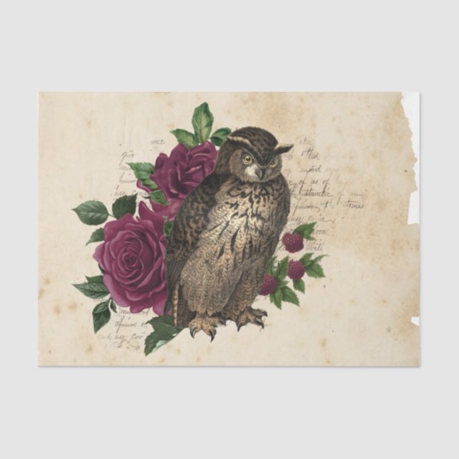 Witch Ephemera  Design Series #3 Tissue Paper (Front)