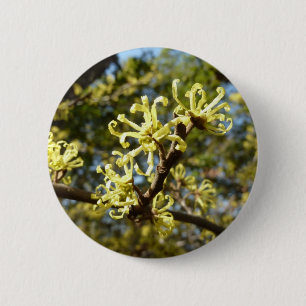 Witch Hazel Flowers 6 Cm Round Badge