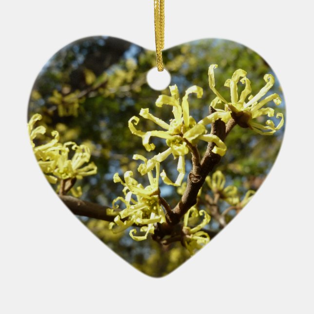 Witch Hazel Flowers Ceramic Tree Decoration (Front)